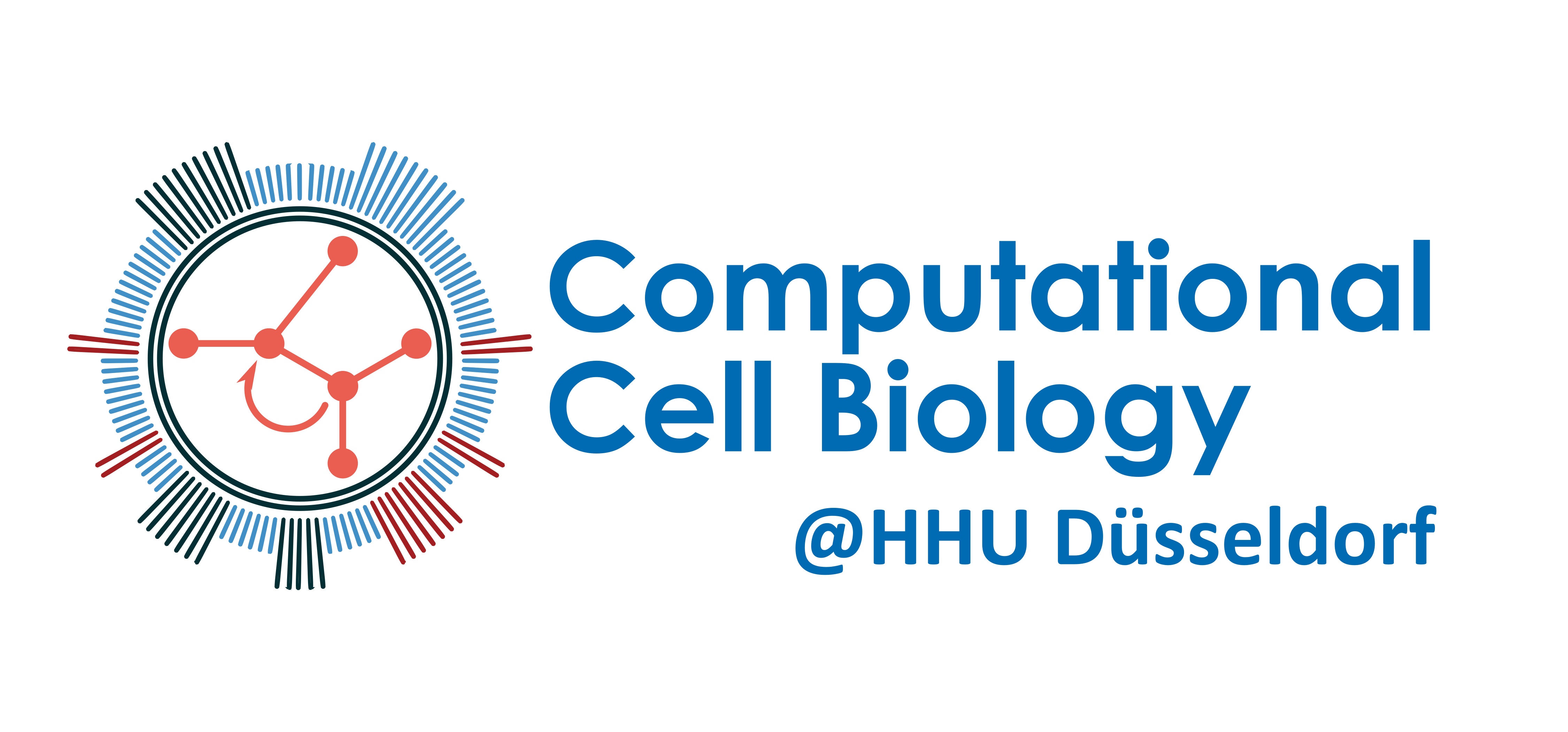 Computational Cell Biology @HHU Düsseldorf